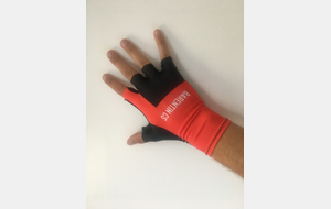 Gants Mitaines Hawk 